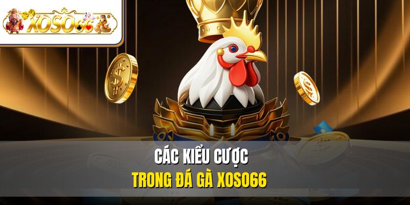 Đá Gà XOSO66 | Trải Nghiệm Kê Chiến Rực Lửa Online 3 Các kiểu cược trong đá gà XOSO66