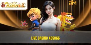 Live Casino XOSO66 - Sân Chơi Dành Cho Tín Đồ Đam Mê Cá Cược